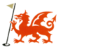 Borth gcn2 logo colour