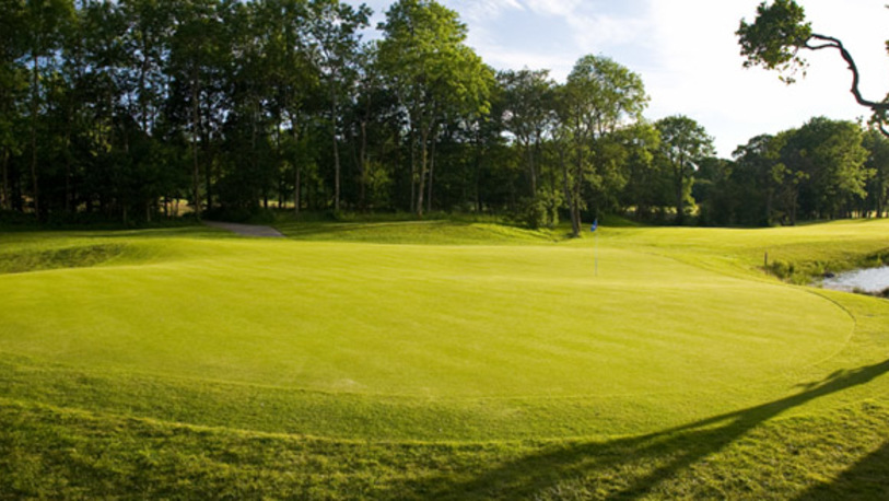 Sized 0008 cameron house golf carrick 4th hole 4.tif