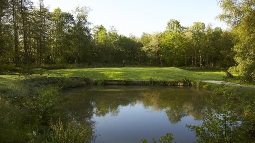 Lingfield park golf course %281%29