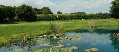 Coed y mwstwr golf club